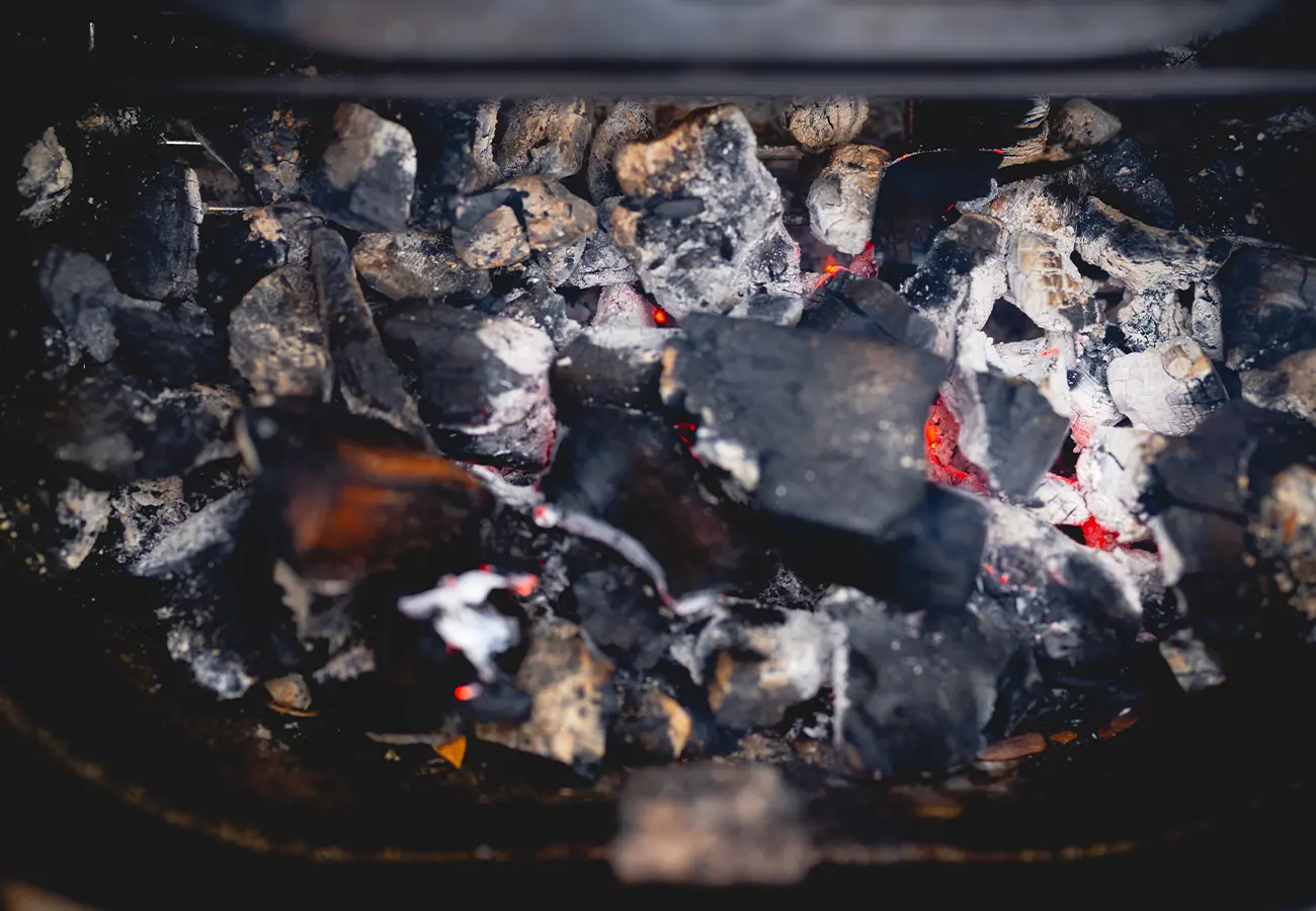bbqproof_caveman